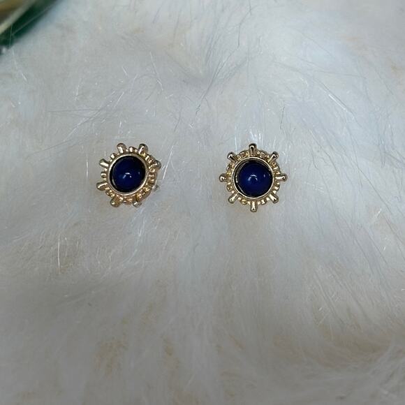 Dark Blue Stud Earrings - Picture 1 of 5